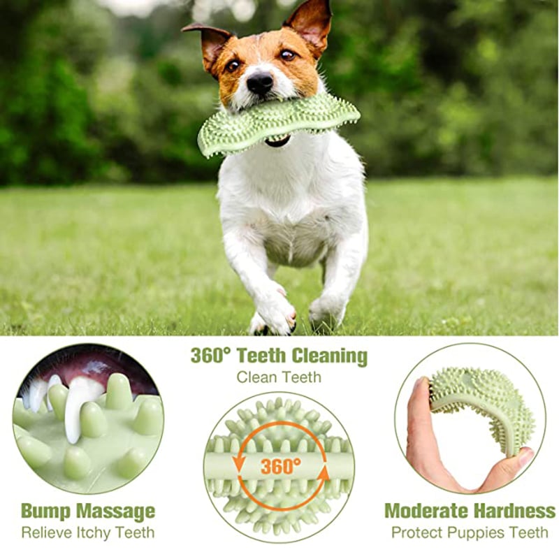Pelota Mordedora y Limpiadora de Dientes