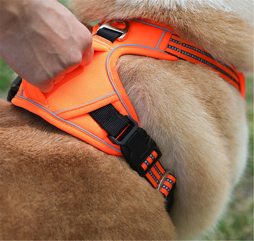 Arnés de Seguridad Impermeable