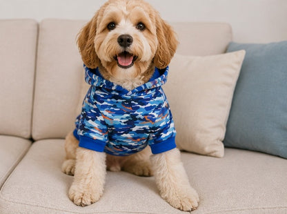 Sudadera Estampada Azul